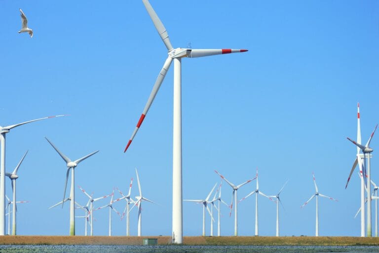 Świetlówki energooszczędne vs LED – co wybrać?