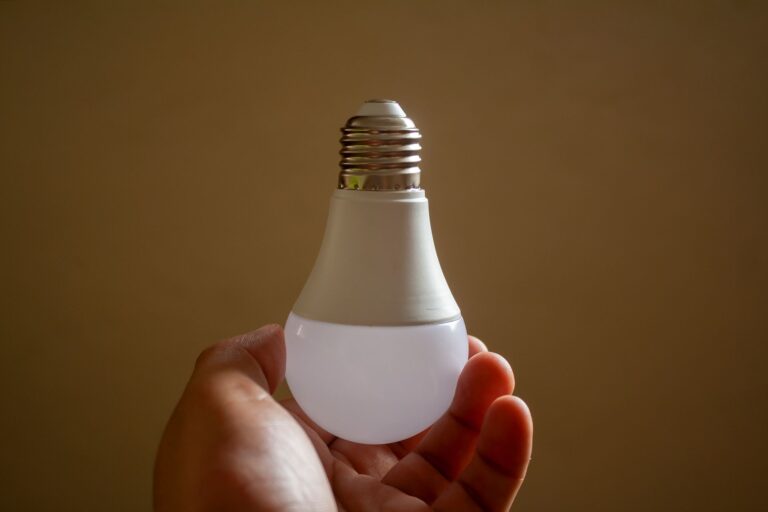 Dłoń trzymająca energooszczędną żarówkę LED